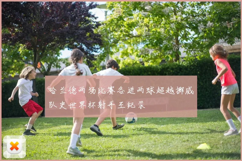 哈兰德两场比赛各进两球超越挪威队史世界杯射手王纪录
