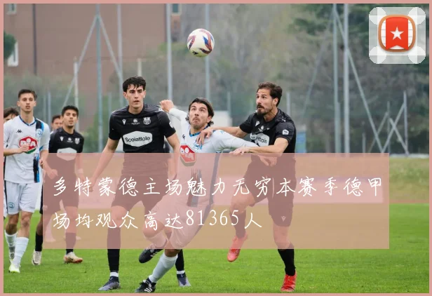 多特蒙德主场魅力无穷本赛季德甲场均观众高达81365人