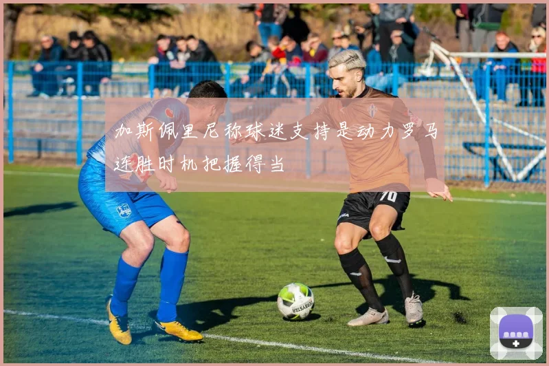 加斯佩里尼称球迷支持是动力罗马连胜时机把握得当